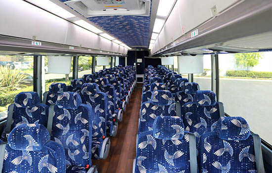 Bus overhead bins